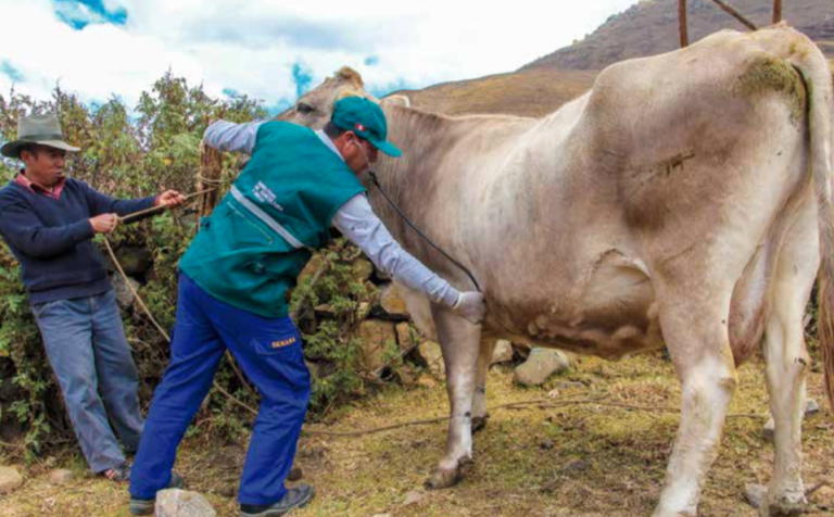 “Trabajamos por más alimentos sanos e inocuos para el Perú y el mundo ...