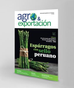 CARATULITA WEB 55